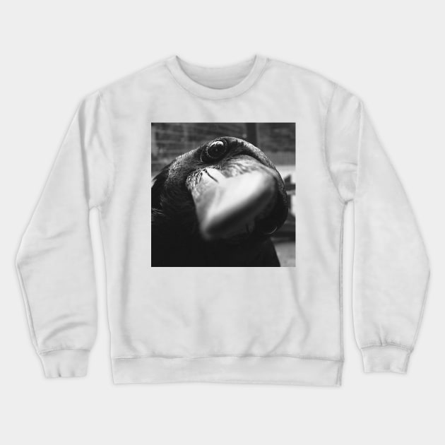 Raven Crewneck Sweatshirt by SiciliaAlanovich